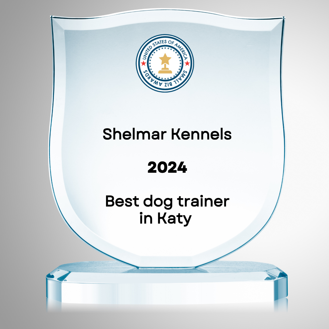 Shelar kennels award